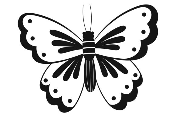 Decorative Butterfly Drawing: Summer Nature Beauty for Creative Projects